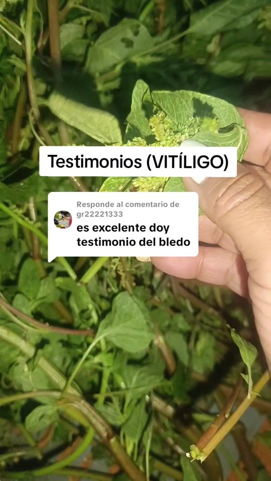 TikTok video thumbnail by mareuzs_