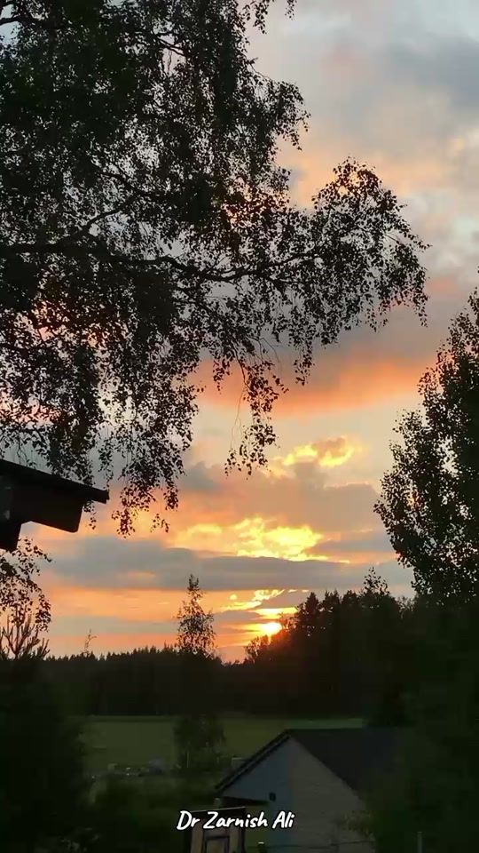 TikTok video thumbnail by drzarnishali