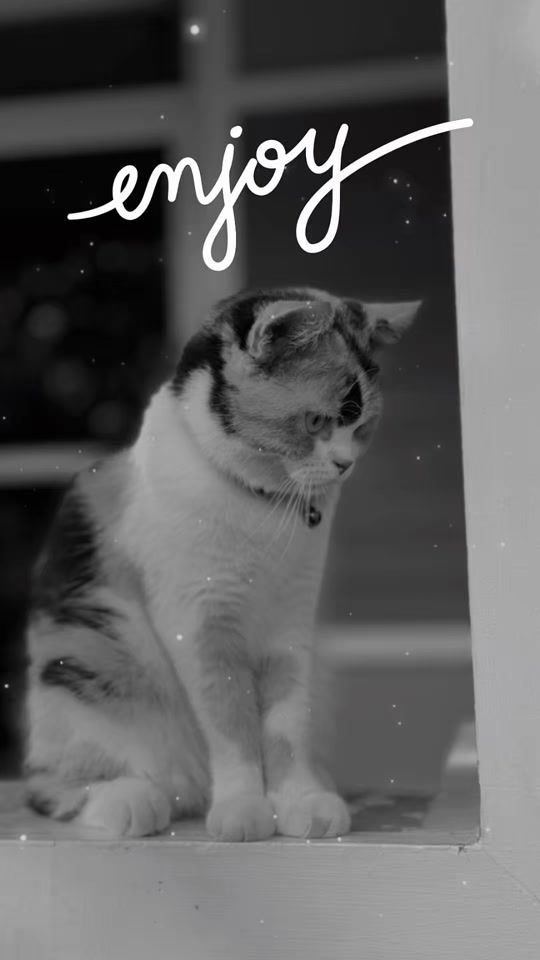 TikTok video thumbnail by bunnumkrab