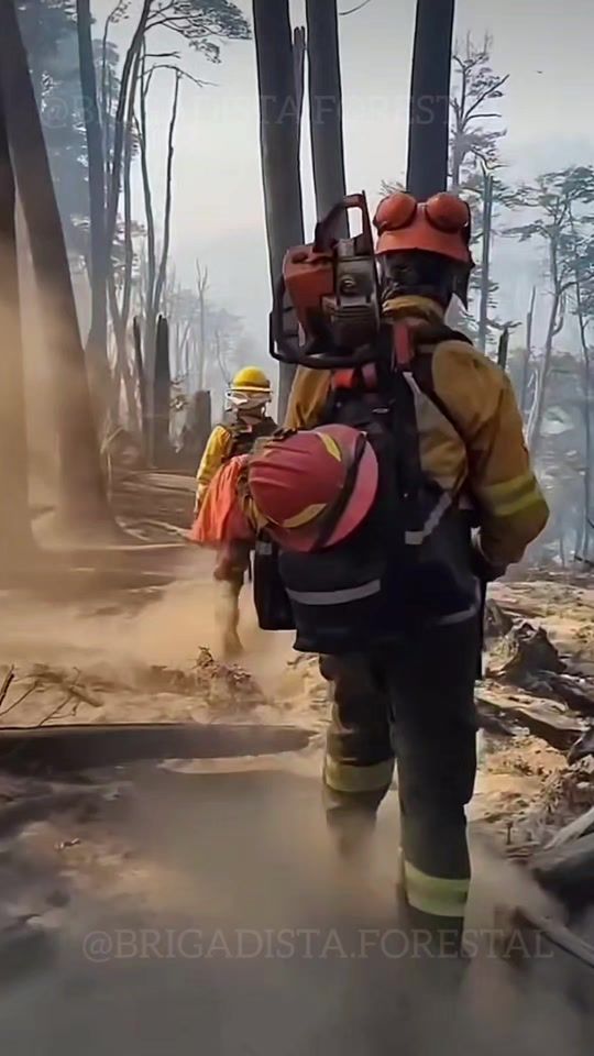TikTok video thumbnail by brigadista.forestal