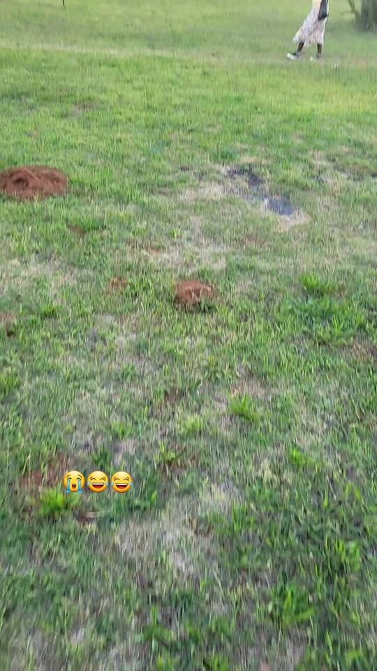 TikTok video thumbnail by meneer_katz