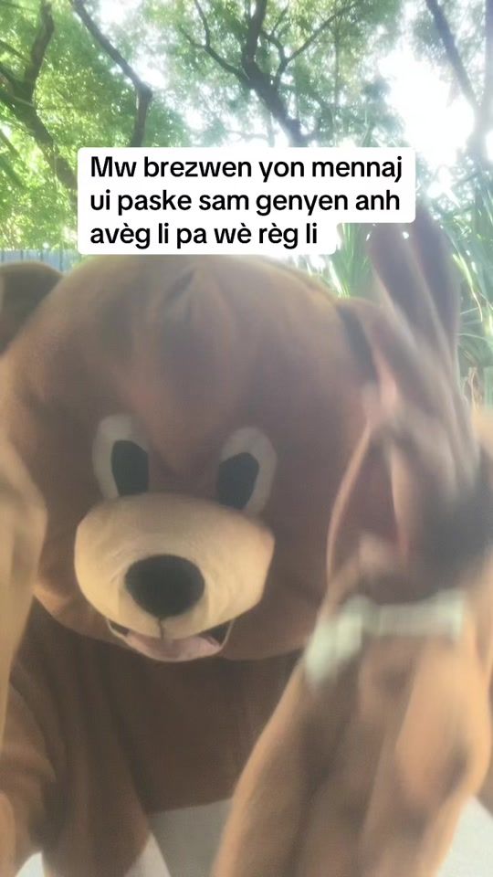 TikTok video thumbnail by nounous_boy