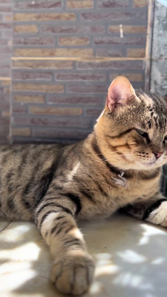TikTok video thumbnail by iwi_amr