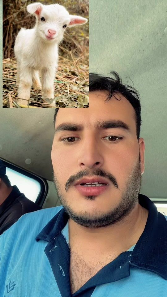 TikTok video thumbnail by ibrarsagar51