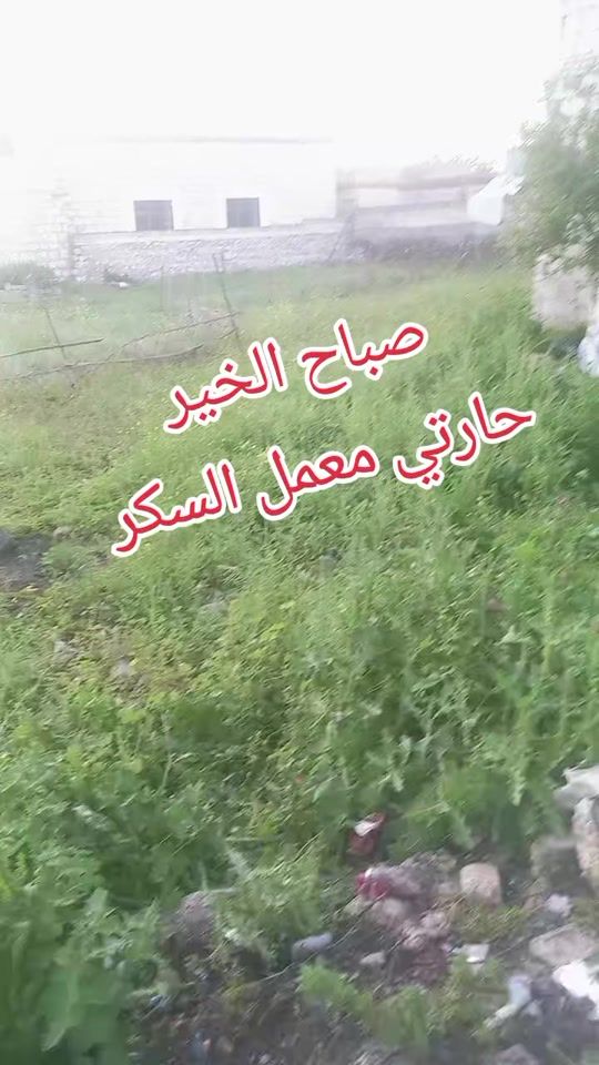 TikTok video thumbnail by hassanabuamjaddeco