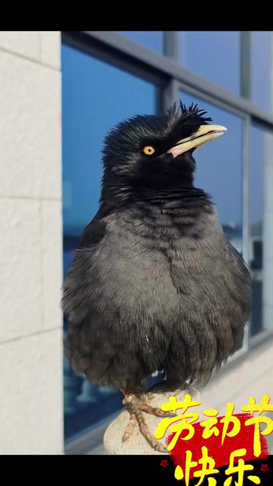 TikTok video thumbnail by amy67867