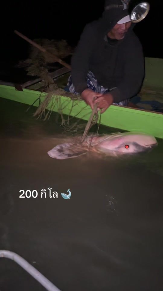 TikTok video thumbnail by nurse91