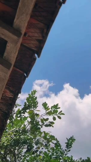 TikTok video thumbnail by capcut_huuthinh