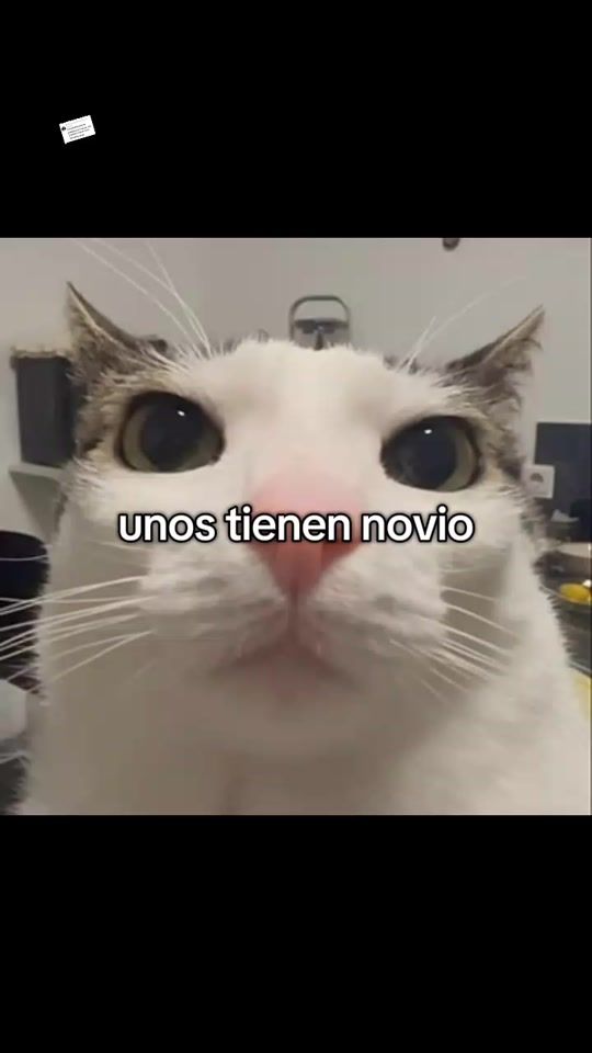 TikTok video thumbnail by win_teern