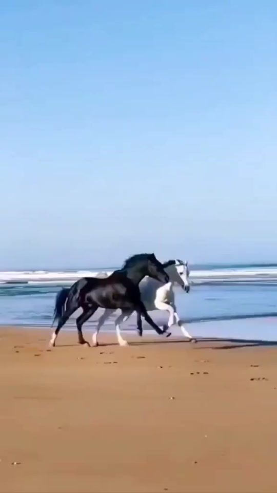 TikTok video thumbnail by mamane.boubaca