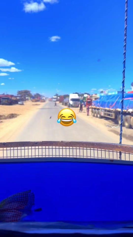 TikTok video thumbnail by truckdriverboy19