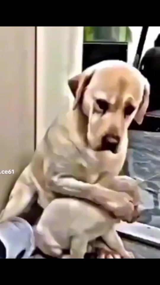 TikTok video thumbnail by auraesteti