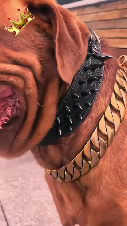 TikTok video thumbnail by kingcesar21