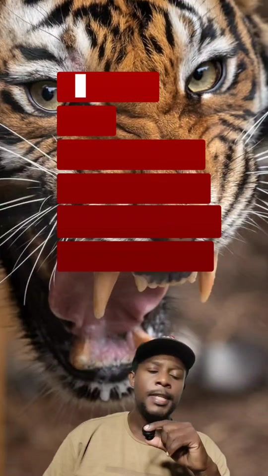 TikTok video thumbnail by omvhouse