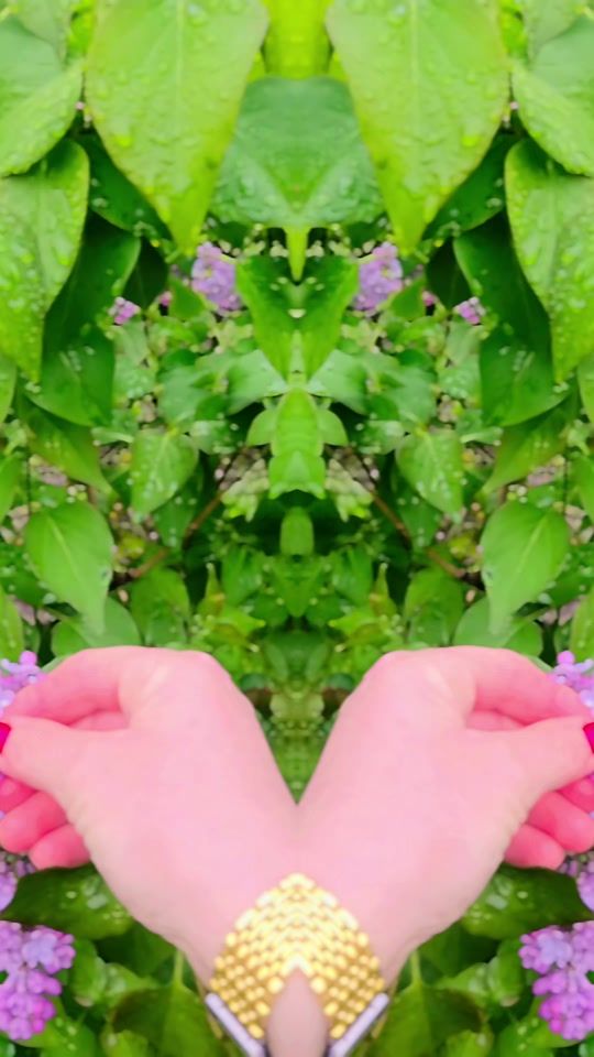 TikTok video thumbnail by wems3