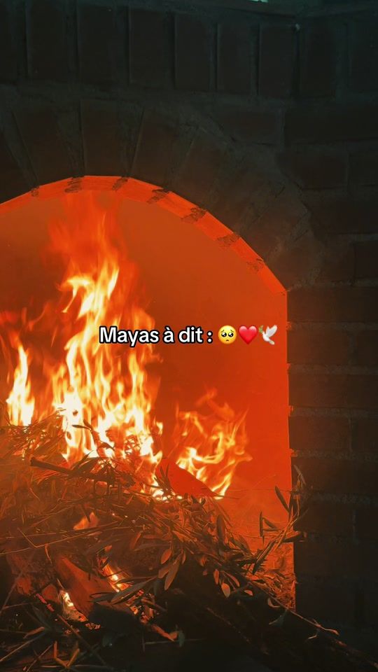 TikTok video thumbnail by mh_3dd