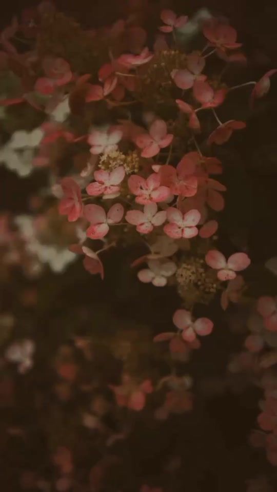 TikTok video thumbnail by boss_writes0