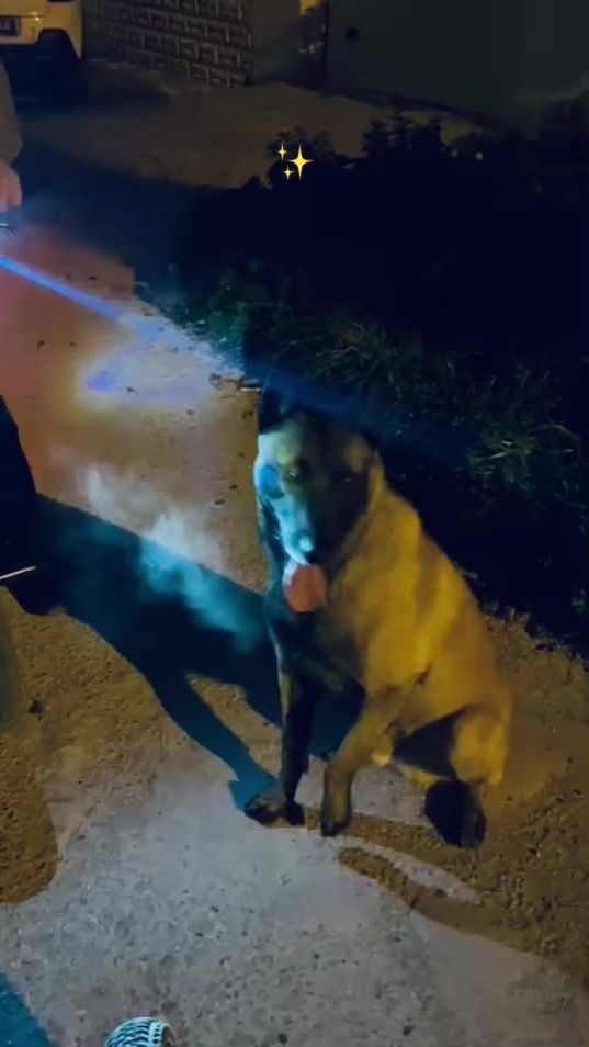 TikTok video thumbnail by youssef.pele