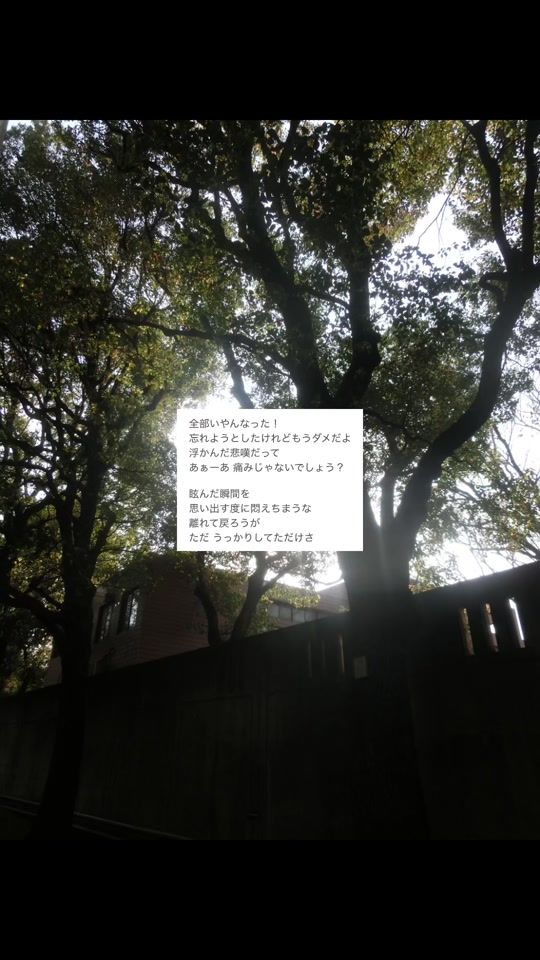 TikTok video thumbnail by haacodey