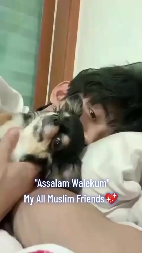 TikTok video thumbnail by seo._.jun__2