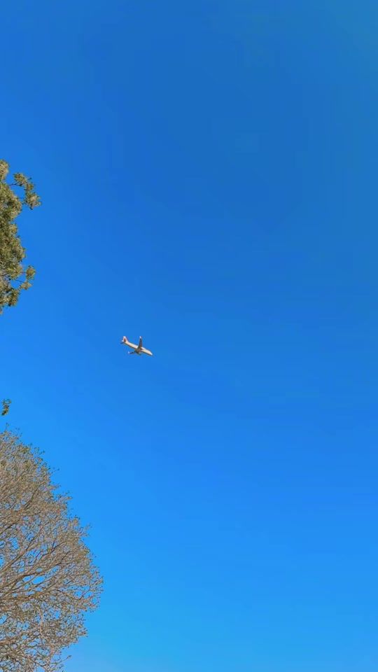 TikTok video thumbnail by shani.khichi2