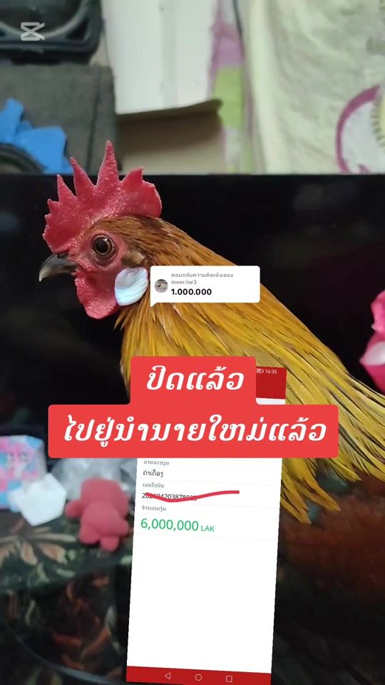 TikTok video thumbnail by user2818108376148