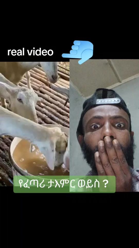 TikTok video thumbnail by sparkpac2