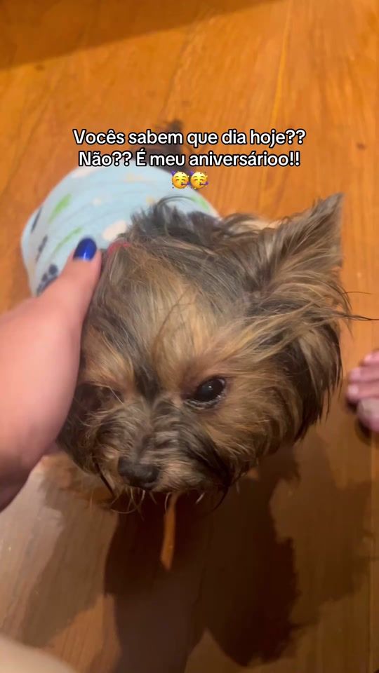 TikTok video thumbnail by layla_yorkk