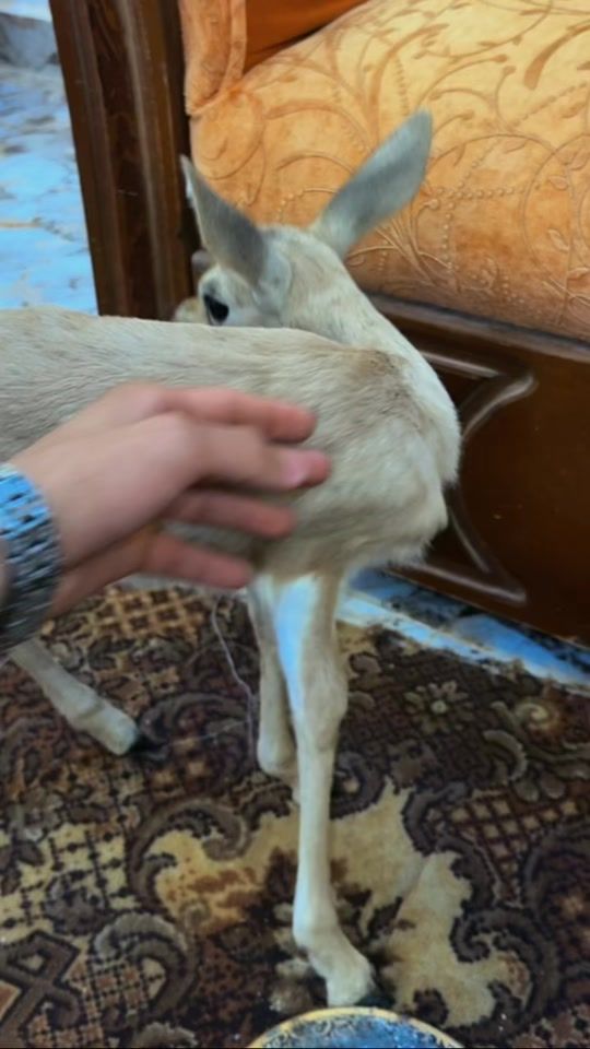 TikTok video thumbnail by m2087n