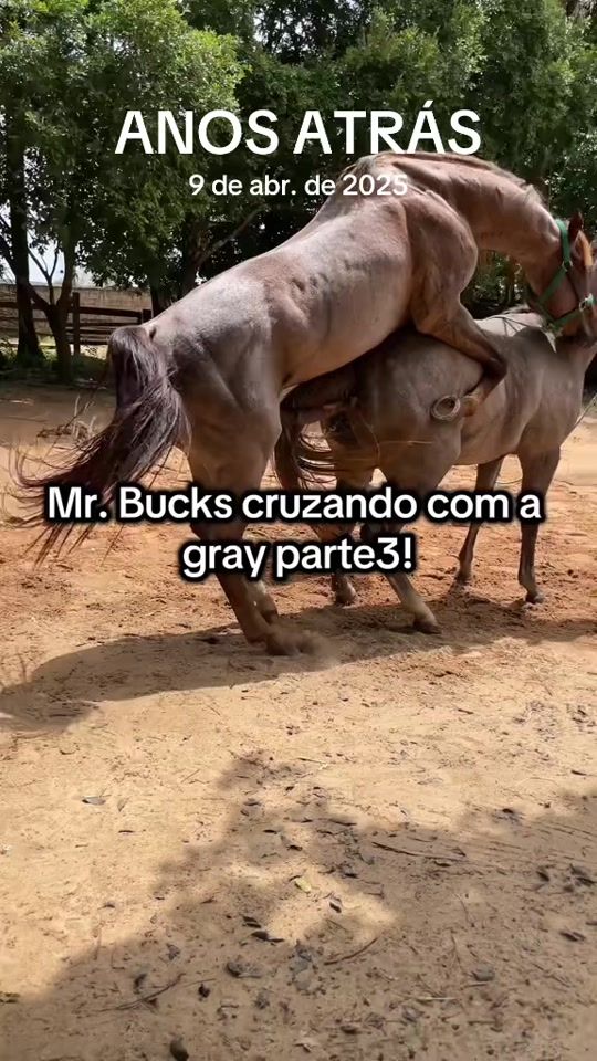 TikTok video thumbnail by espanta.ranch