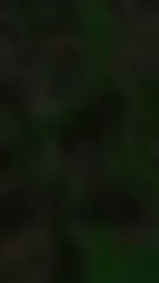 TikTok video thumbnail by _._shenu_
