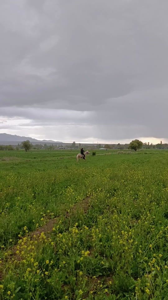 TikTok video thumbnail by serdar_eliyev_official