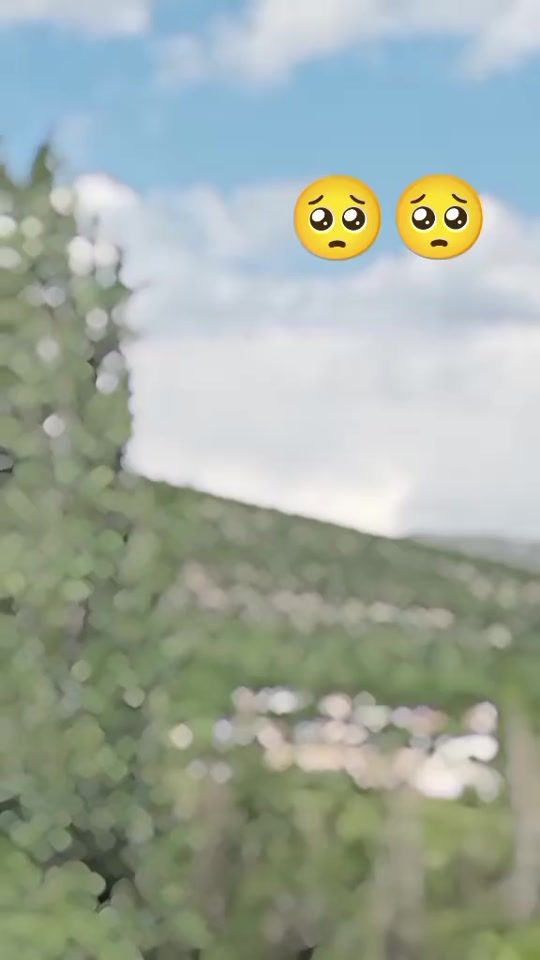 TikTok video thumbnail by tne..too