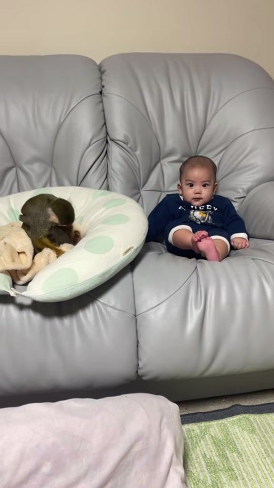 TikTok video thumbnail by monkey.pipi