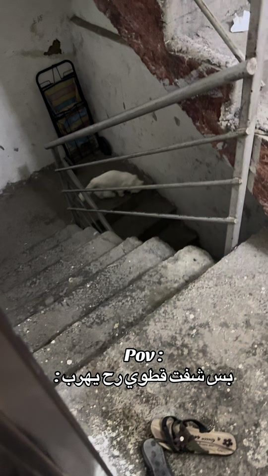 TikTok video thumbnail by omsaif881