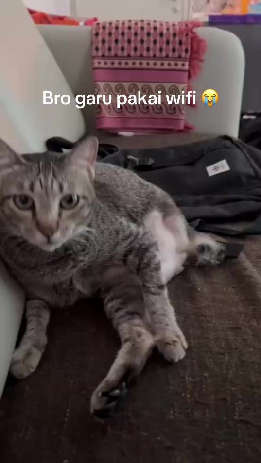TikTok video thumbnail by aimaann23