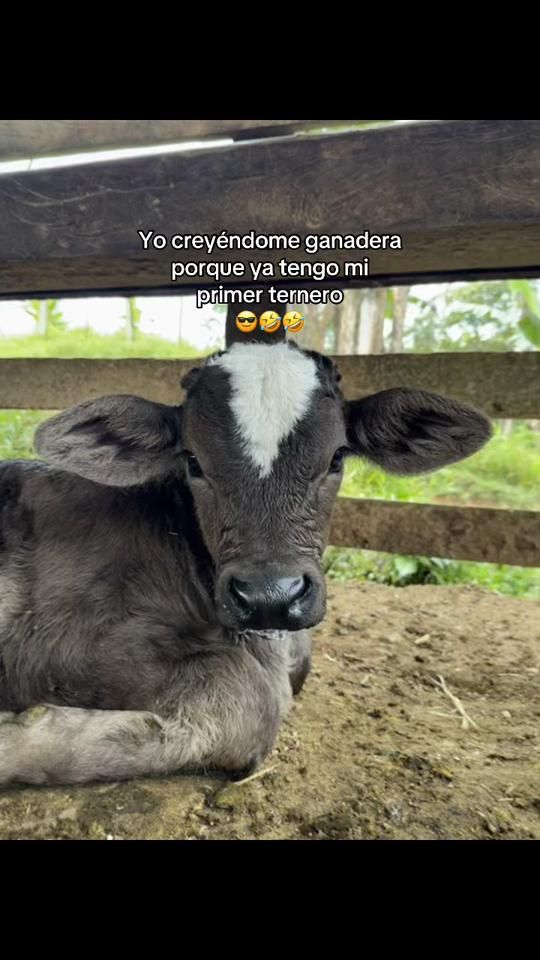 TikTok video thumbnail by nancy_rivera84