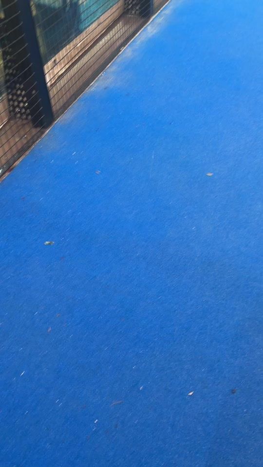 TikTok video thumbnail by szafit