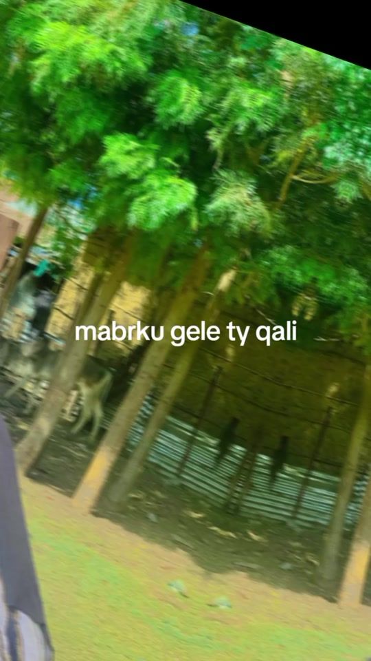TikTok video thumbnail by raanukkaa