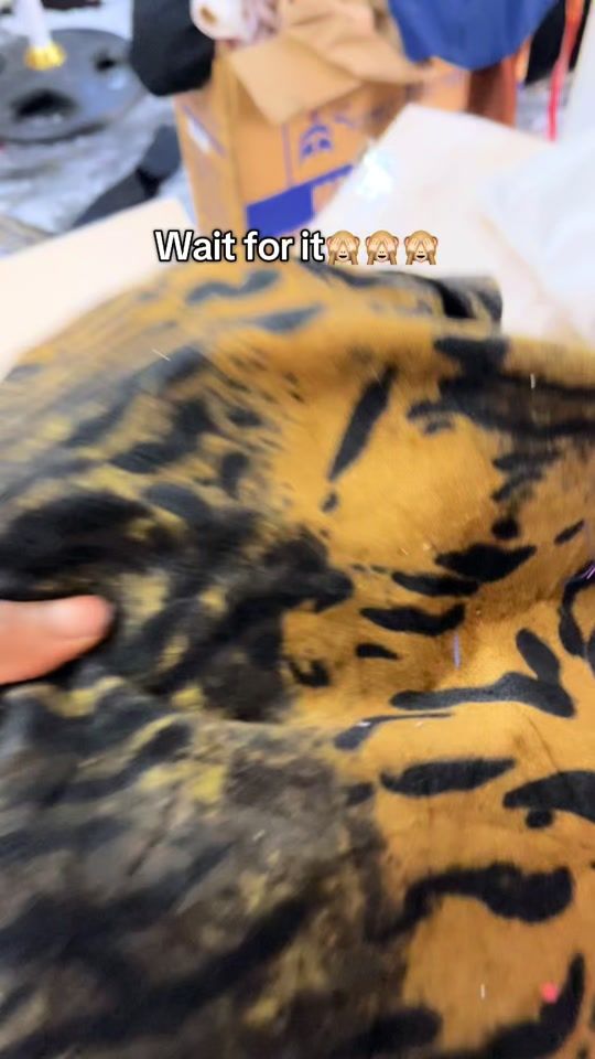 TikTok video thumbnail by the_tommiox_brand