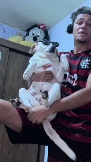 TikTok video thumbnail by dnofc__