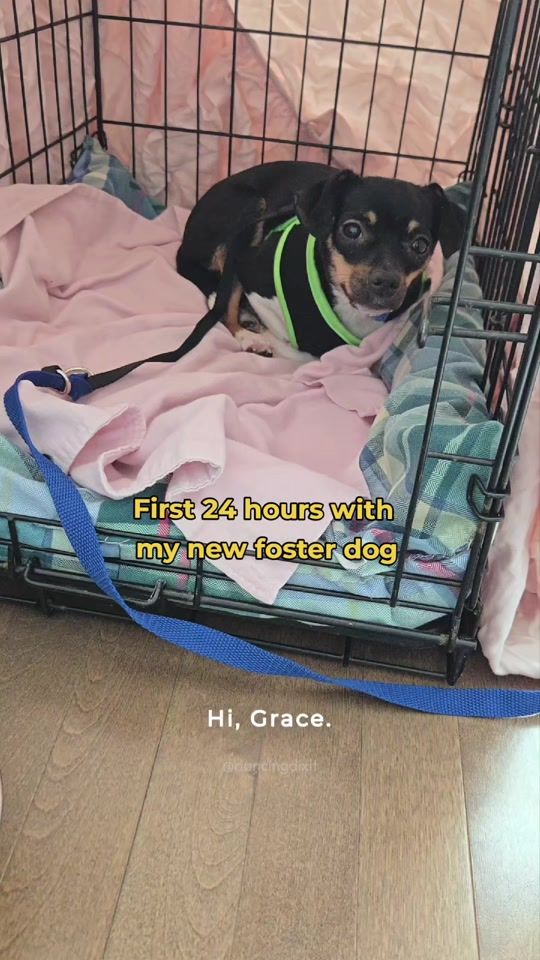 TikTok video thumbnail by dancingdixit