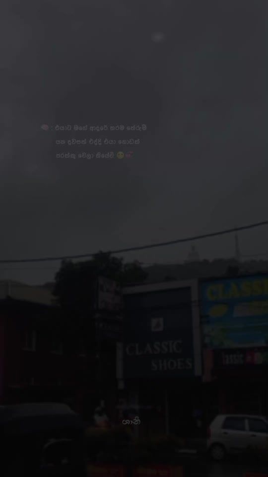 TikTok video thumbnail by _shani.bear_