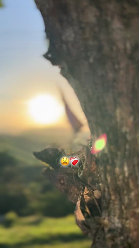 TikTok video thumbnail by compita_peter502