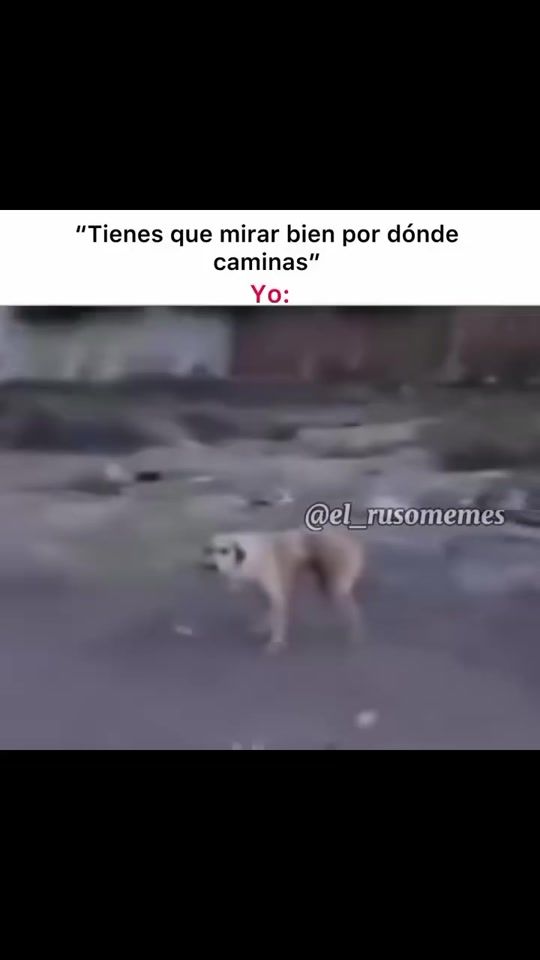 TikTok video thumbnail by soyjovencito