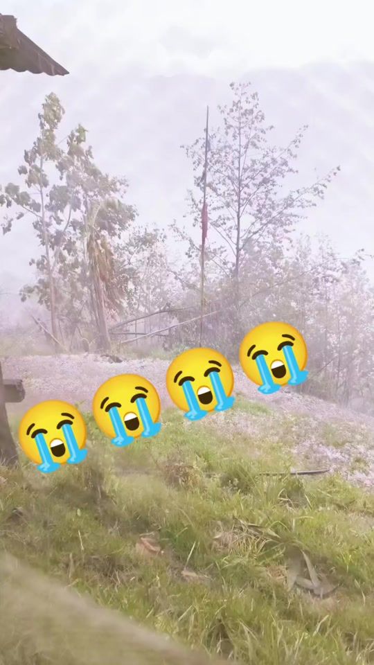 TikTok video thumbnail by phubepelmo