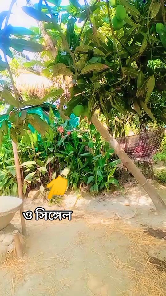 TikTok video thumbnail by mdmohinvai17