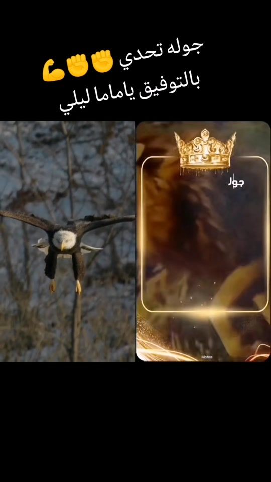 TikTok video thumbnail by user71931749