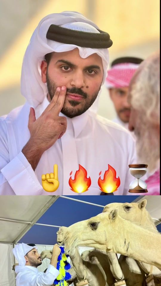 TikTok video thumbnail by noog.511