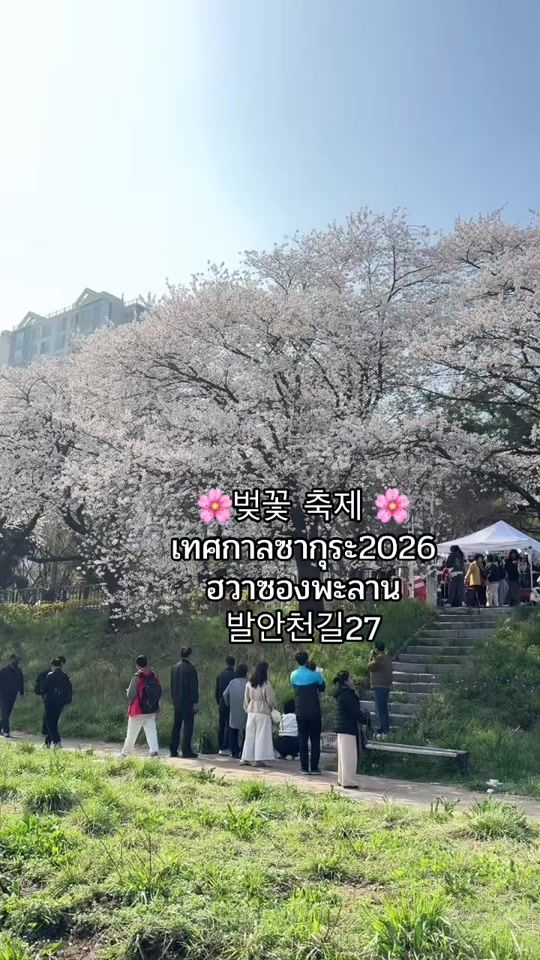 TikTok video thumbnail by phatsita26